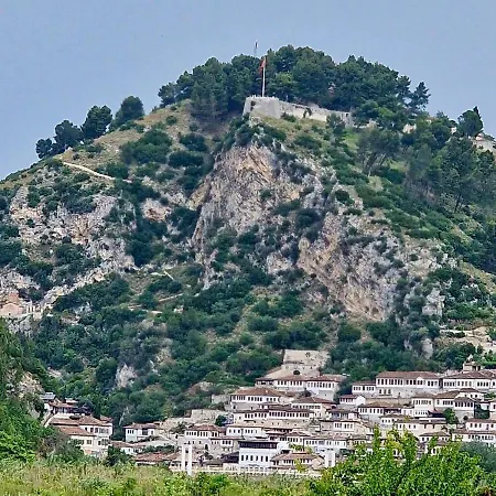 Mimani 2