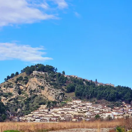 Mimani 2 *